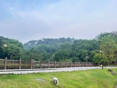 -国恩寺