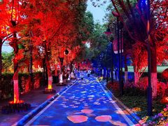 -花博汇(知音花月夜)