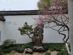 -杭州植物园