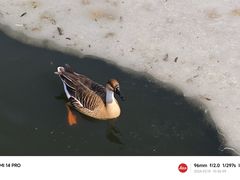 -沈阳鸟岛