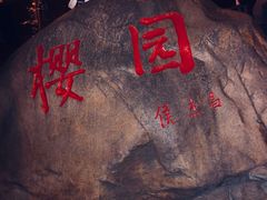 -武汉大学-樱园