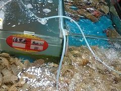 -旺角小渔村(幸福中路店)