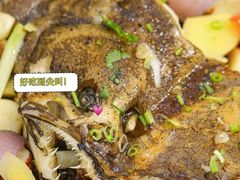 -有腥气私房菜·寻味顺德