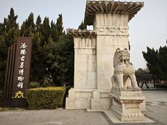 -洛阳古墓博物馆