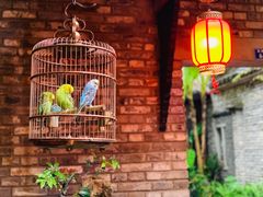 景观位-鱼桥巷·美学川菜