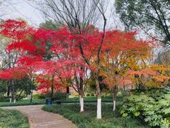 -杭州城北体育公园