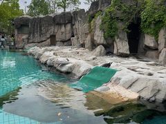 -上海野生动物园