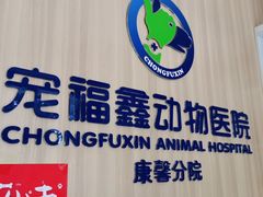 -宠福鑫康馨动物医院·骨科·眼科