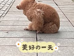 -二沙岛艺术公园