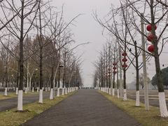-南京眼步行桥