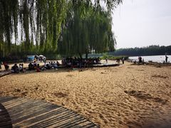 -大兴滨河森林公园