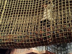 -沈阳海洋探索中心