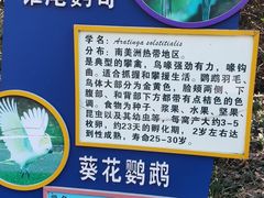 -宁波野生动物园