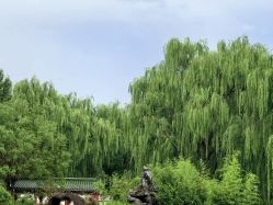 -宝馨月月子中心(友谊医院店)