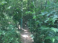 -上海佘山国家森林公园西佘山园