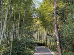 -冶父山国家森林公园