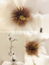 -今日陶艺(富力广场店)