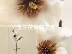 -今日陶艺(富力广场店)