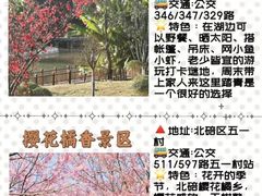 -人民解放纪念碑