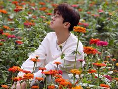 -合肥滨湖国家森林公园