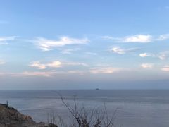 -洋山深水港