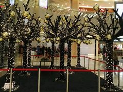 -菩提树·素食餐厅(汇智国际商业中心店)