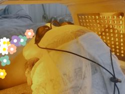 -杨丹国际美学肌研所
