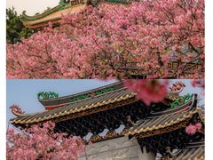 -宝墨园景区