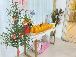 -子午孕教·孕妇瑜伽产后恢复(市北店)