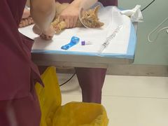 -纳吉亚猫专科动物医院博雅分院