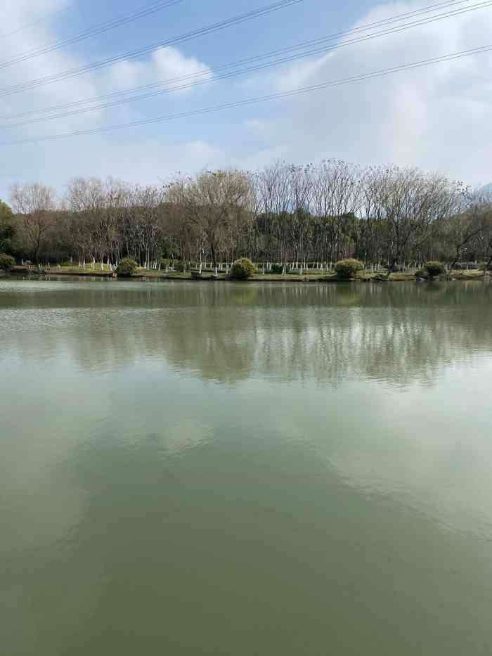 石塘公园-"石塘公园就在我们单位旁边,附近有个公交车.