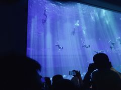 -南昌融创海世界