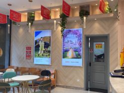 -爱儿美儿童摄影(奥森公园店)
