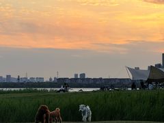 -忠犬公馆(月亮湾店)