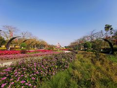 -映月湖公园