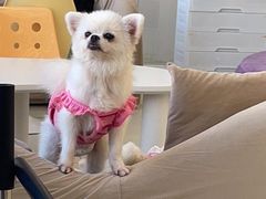 -怪兽屋·羊驼·猫咖·狗咖(俊华广场店)