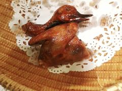 -大榕树下顺德菜(融创茂店)