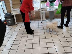 -三江购物(东裕店)