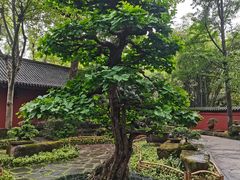 -成都武侯祠博物馆