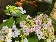 -The Flowers Coffee(南山店)