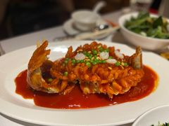 松鼠桂鱼-玫瑰厅上海菜(兴国路店)