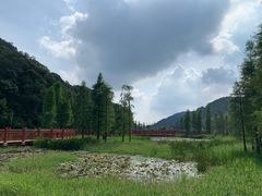 -广州市石门国家森林公园