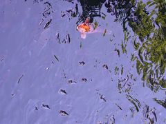 -海口火山口国家地质公园