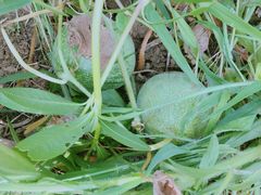 -呼吸森林·生态农庄农家乐私房菜