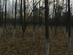 -艾溪湖湿地公园