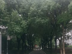 -苏州城市学院