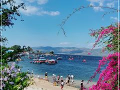 -阳光海岸