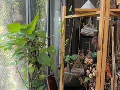 -肴约·花园式餐厅(湖里店)