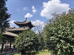 -善化寺