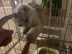 -0907餐厅(核桃园店)